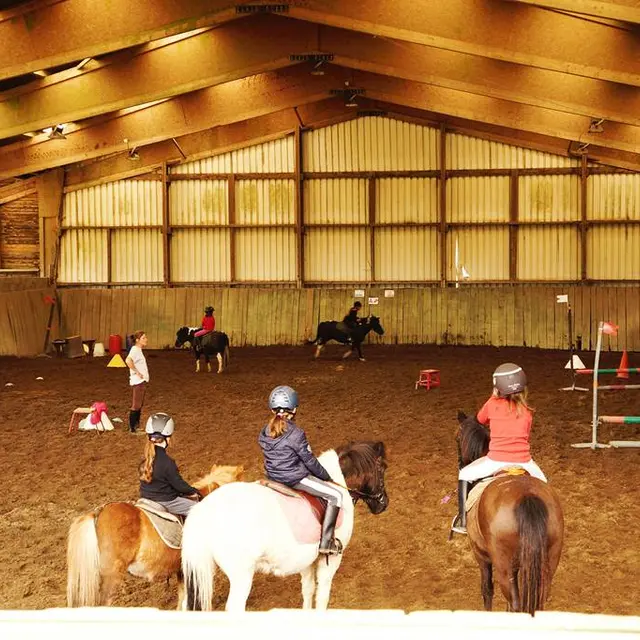 Ecuries du Vieux Puits - Questembert