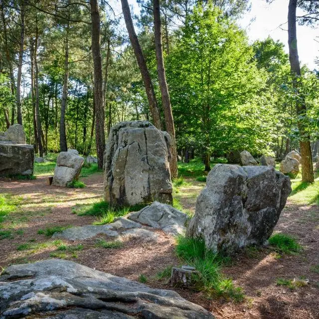 Lachaisedecesar-ERDEVEN-MorbihanBretagneSud