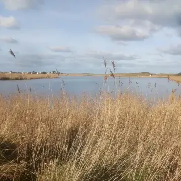 etang_queue_sud_nl_0.jpg