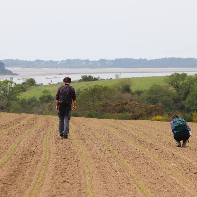 prospection archéologique