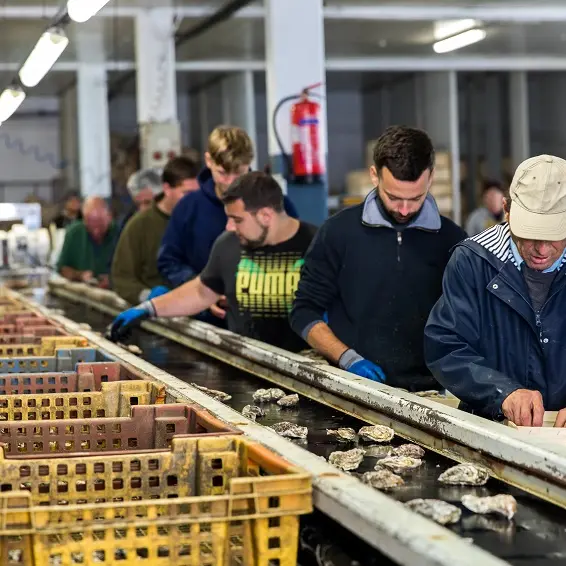 ferme-marine-Cancale