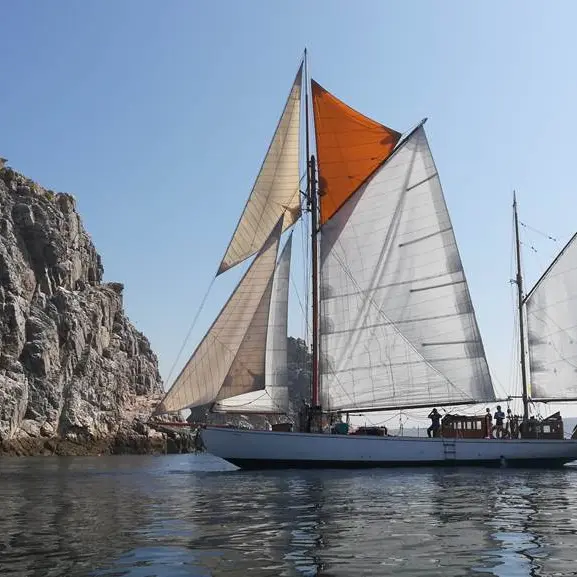 Copyright : Association Skeaf