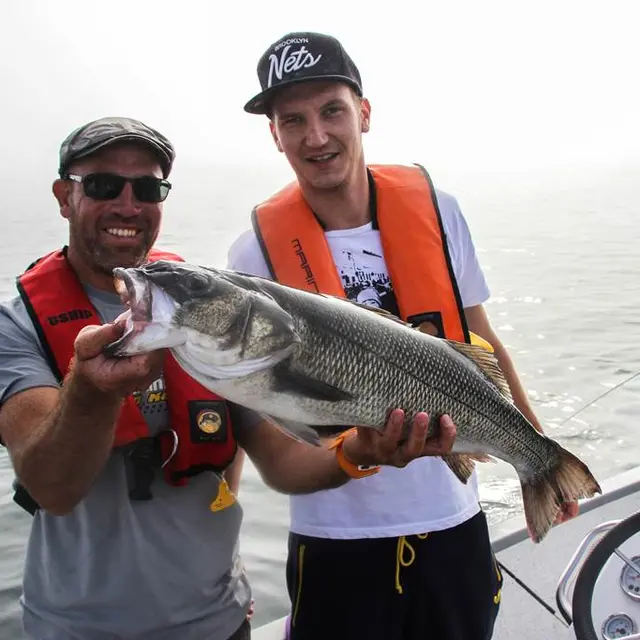 Guide-de-Pêche-Pierre-Yves-Perrodo-Sarzeau-Presqu'île-de-Rhuys-Golfe-du-Morbihan-Bretagne sud