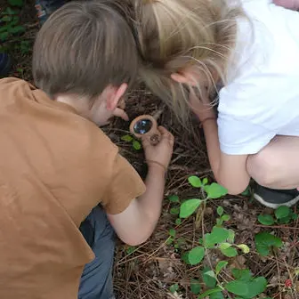 atelier en foret pour les petits