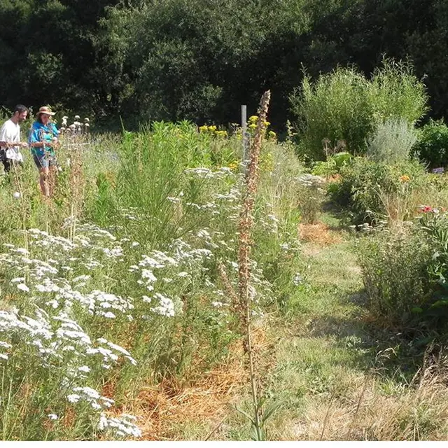 L'Instant-Plantes-Brandivy-Golfe-du-Morbihan-Bretagne sud