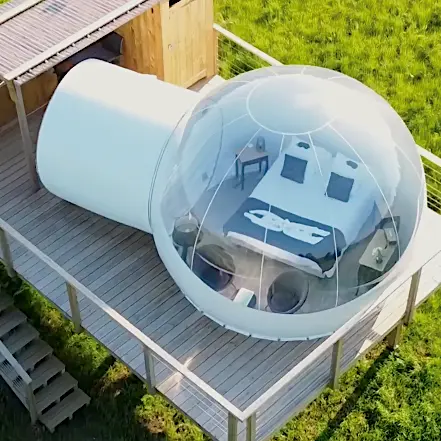 bulle - les insolites de sophie