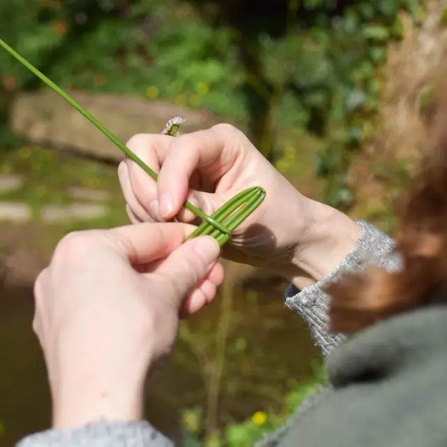 atelier Jouets buissonniers