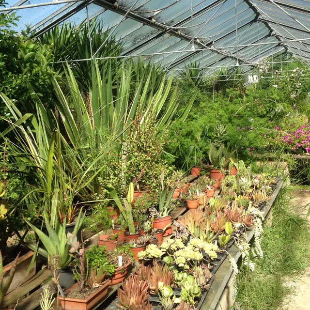 Tropicarium Bonsaï La Baule