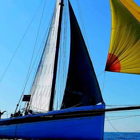 RANDO VOILIER ARZON KROG E BARZ