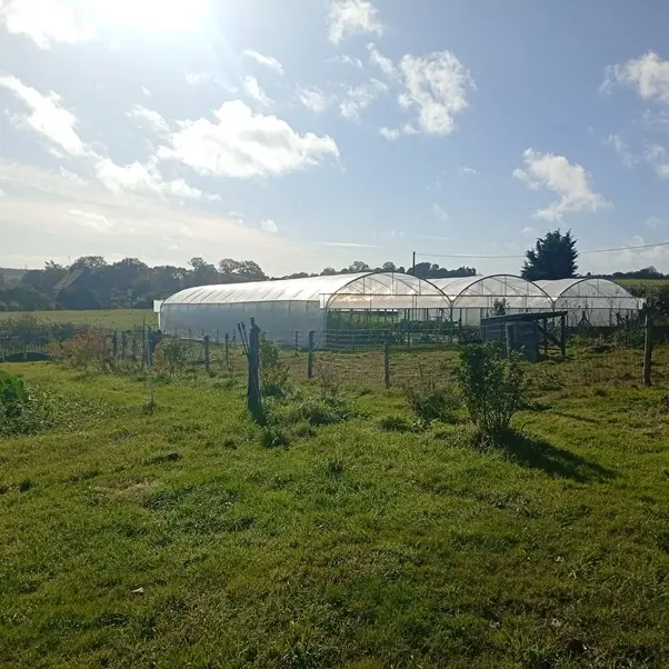 la ferme des vivants - producteur - maraichage - Taupont