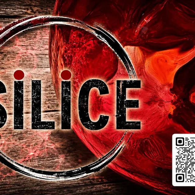 logo Silice