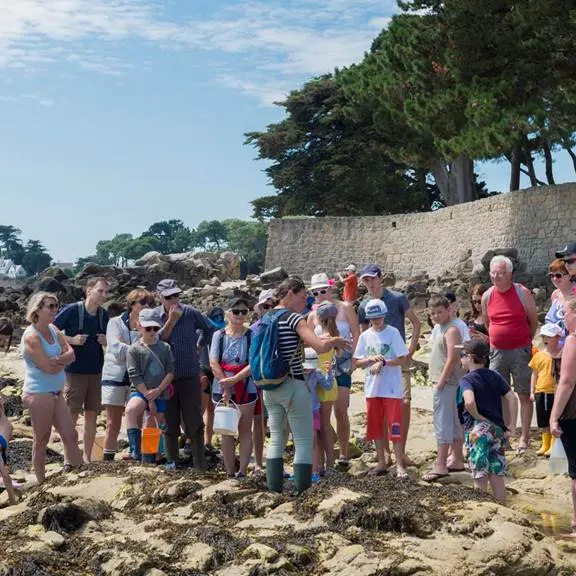guide-nature-melanie-chouan-trinite-sur-mer-morbihan-bretagne-sud