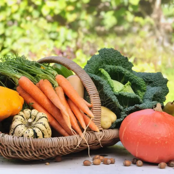 Marché - terroir - Guégon - Destination - Brocéliande