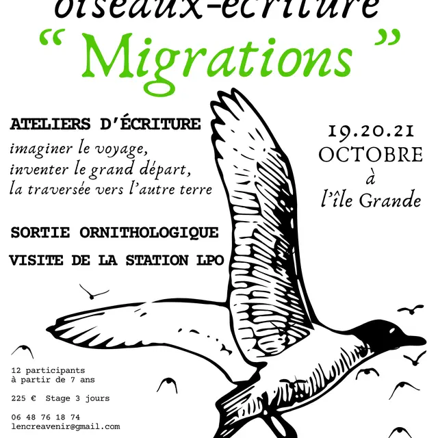 Migrations