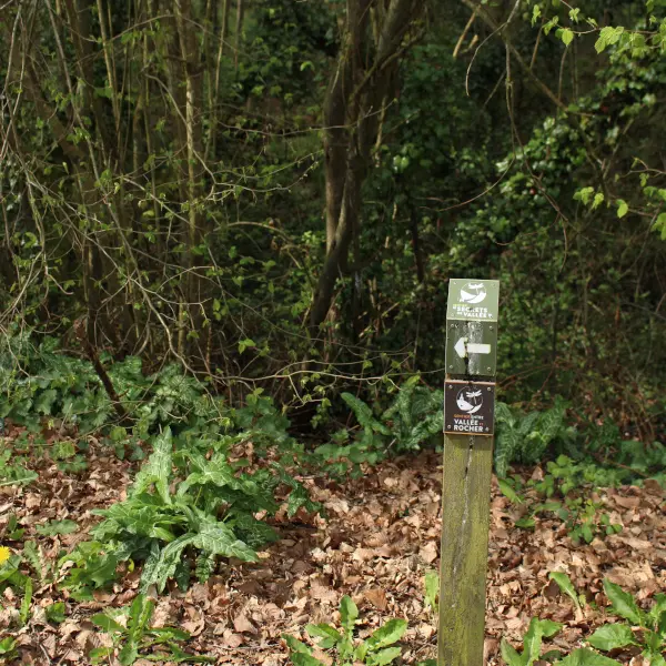 monthault-randonnee©E Petitjean(2) 800x600