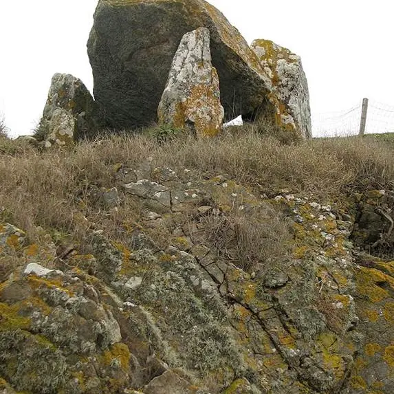 Dolmen du Crapaud à Billiers