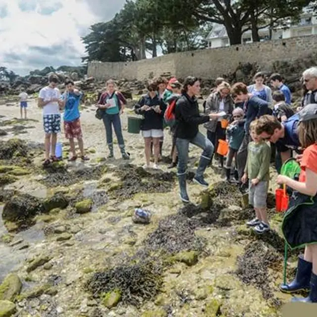 Initiation à la pêche à pied