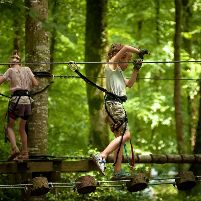 parc-des-grands-chenes-foret-villecartier