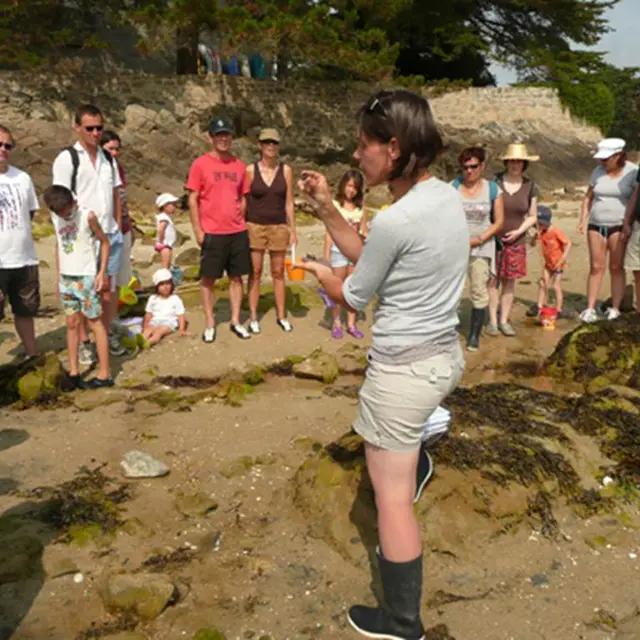 guide nature-carnac-morbihan-bretagne-sud