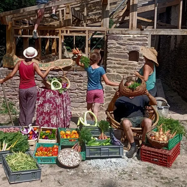 ferme_la-bouvrais-rumex_maraichage_brebis_Concoret_DestinationBroceliande