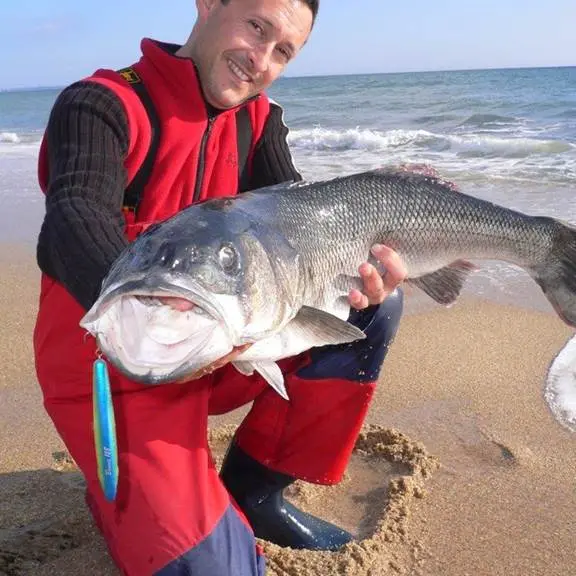 Guide de pêche Morbihan