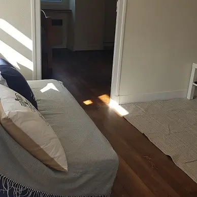 Location-Figuier-Saint-Jouan des Guérêts