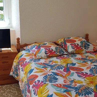 Location-Fuschias-Saint-Jouan des Guérêts