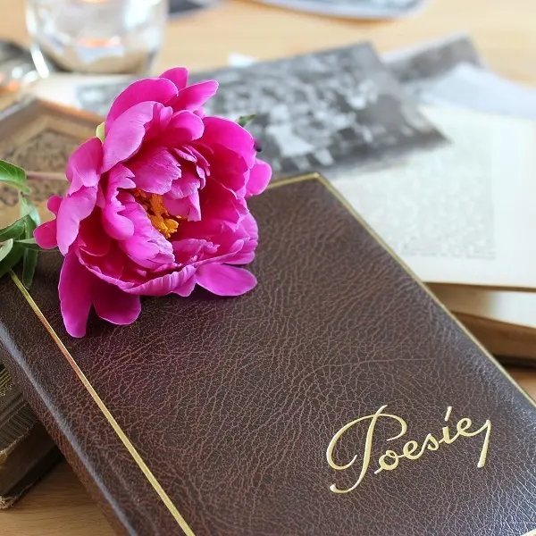 Festival - Slam - Poésie - Josselin - Brocéliande - Morbihan - Bretagne