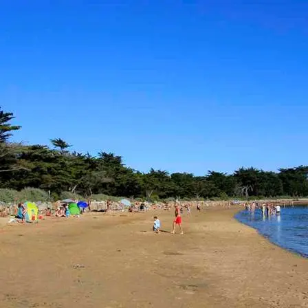 Plage de Locmiquel-Larmor Baden-Golfe-du-Morbihan-Bretagne sud