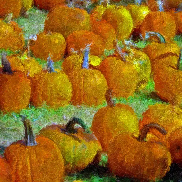 Peinture citrouilles