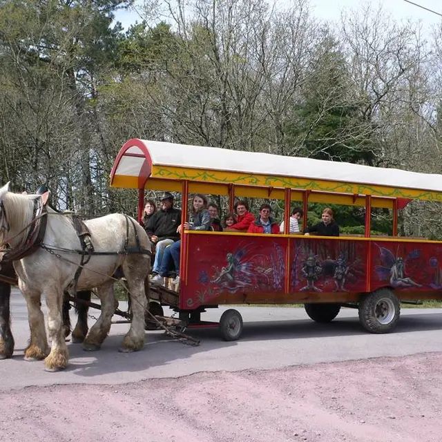 AttelagesenQuiberon1