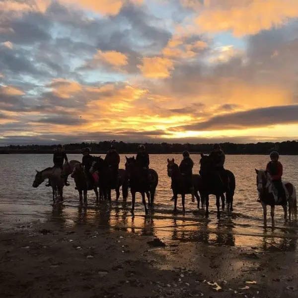 Poney Club - Aelis Poney Club - Saint-Malo