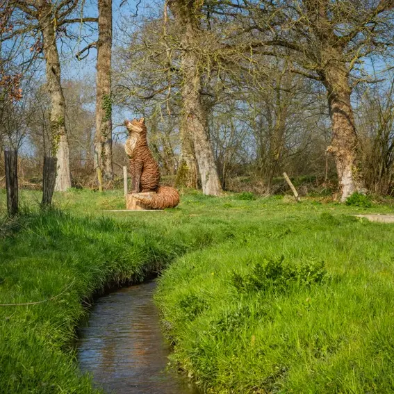 salamandre et la chouette breteil2