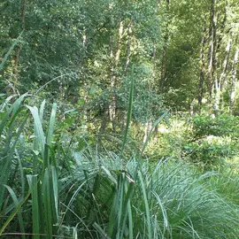 secret-vallee-monthault