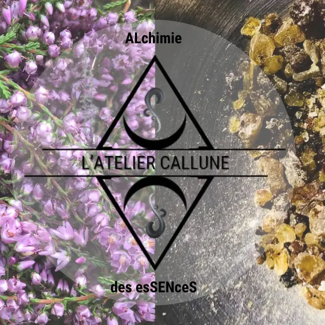 Visite de l'Atelier et de sa boutique