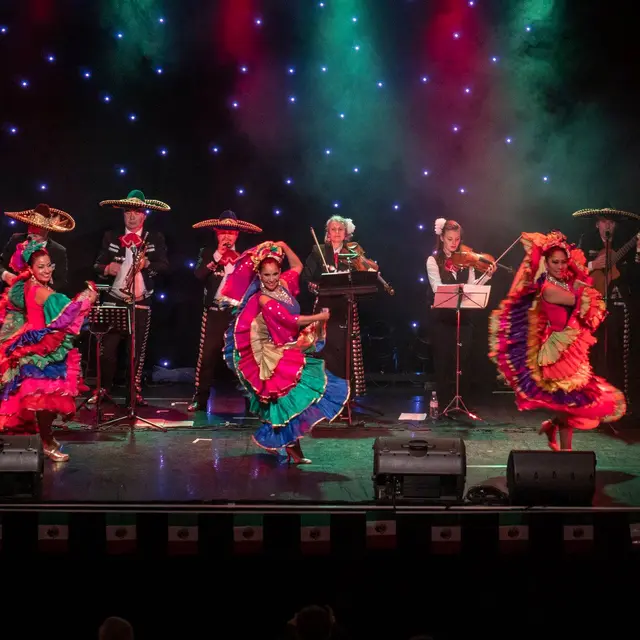 Los Tropicales Mariachis