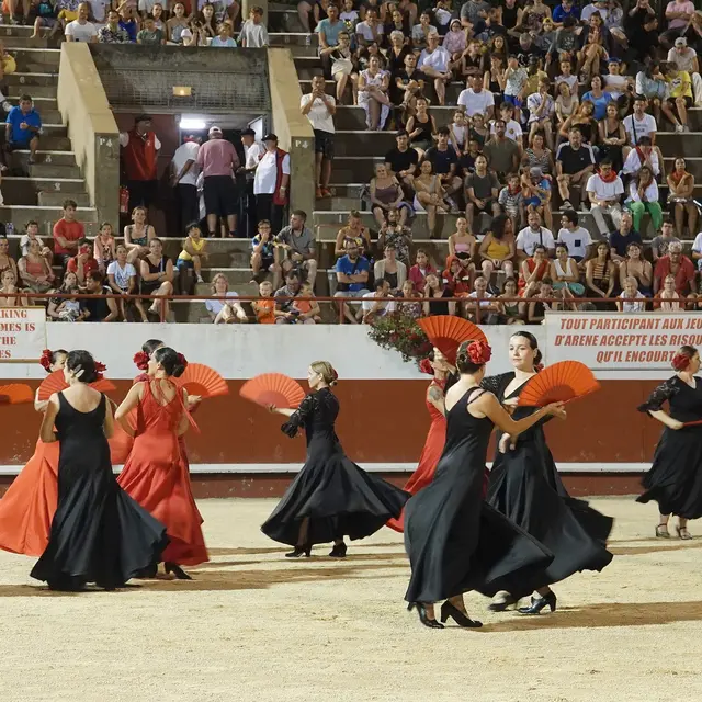 Parenthèse Flamenca