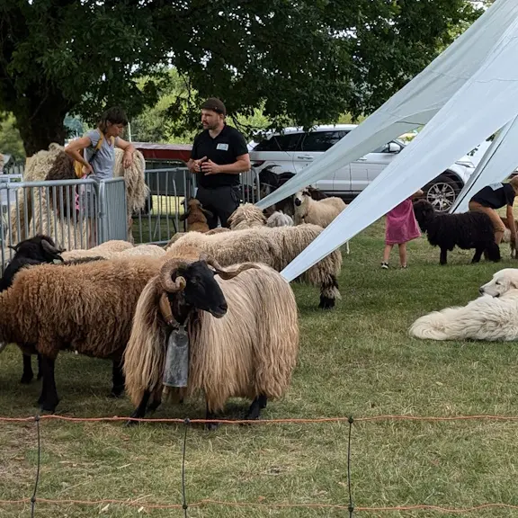 Vacances de Toussaint à la ferme de Maillofargueix
