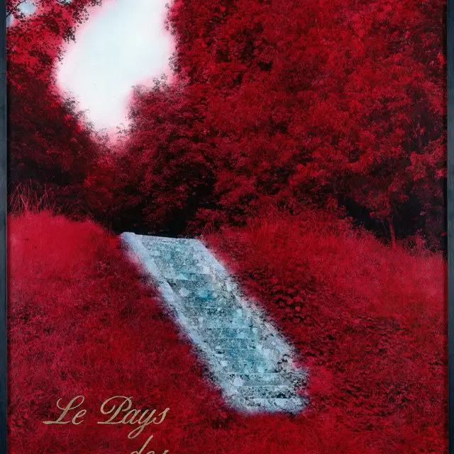 Martine ABALLÉA, Visitez le Pays des Fleurs Flambantes,1988.