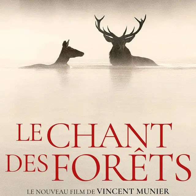 Cinéma - Le chant des forêts