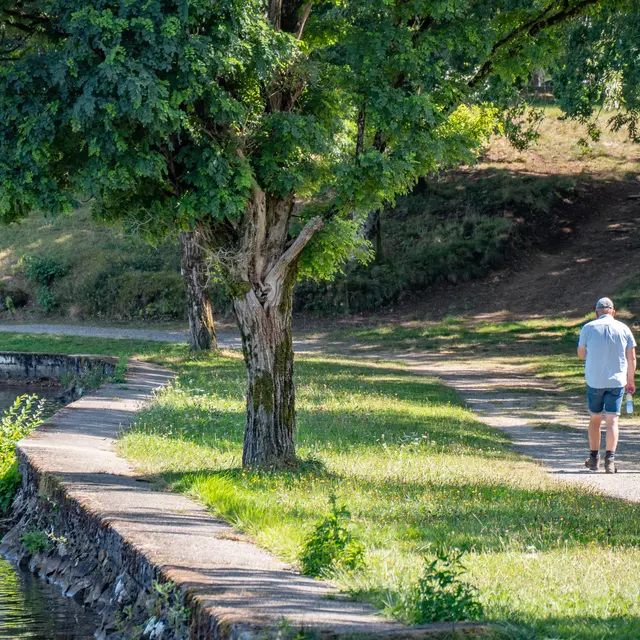 52031224038_26d036127c_k (1)