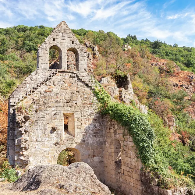 52390947135_f9dae9d6ce_k