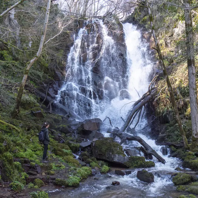 53598727797_8cb4112cfe_k