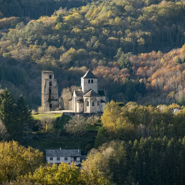 54148452456_a786280515_k