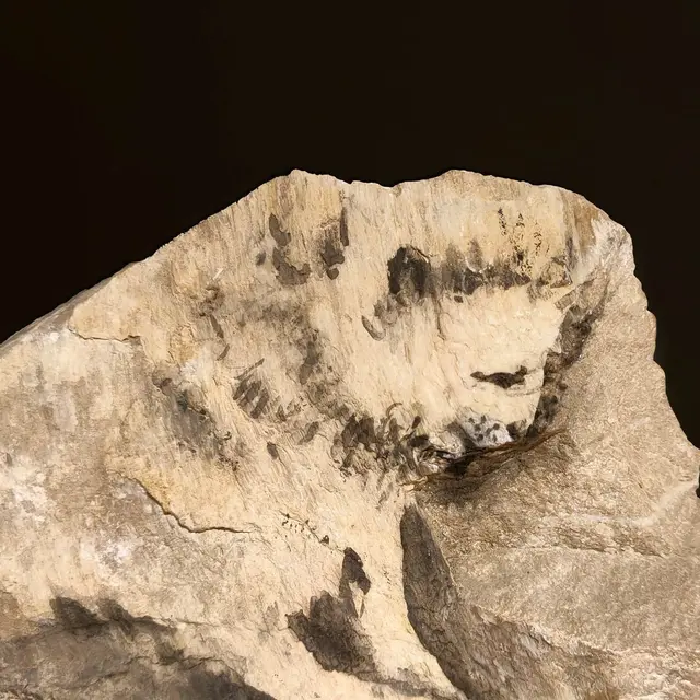 Les pierres qui parlent