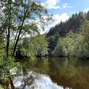 Pêche Carpe de Nuit de la Vienne