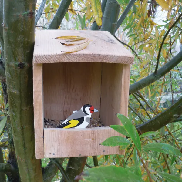 Construction d'un nichoir 800x600
