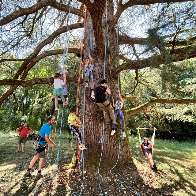 Initiation à la grimpe
