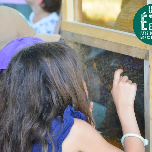 À la rencontre des producteurs - La Miellerie Dandelion