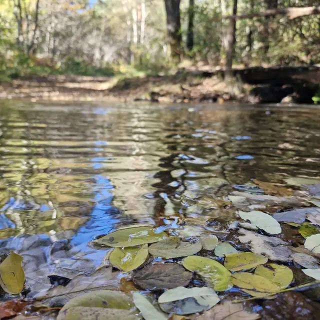 © Jade Lautrete (28)